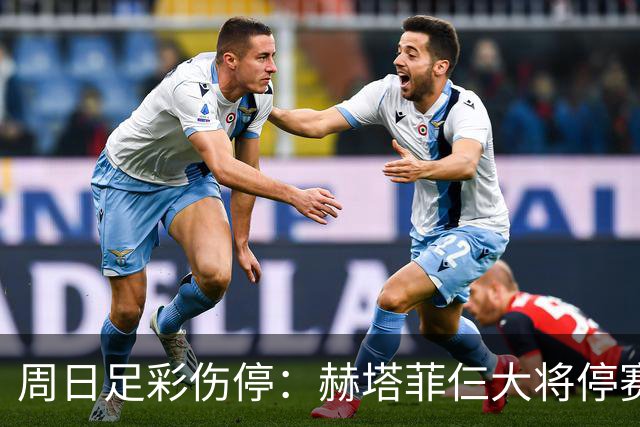 周日足彩伤停：赫塔菲仨大将停赛 热刺伤病满营